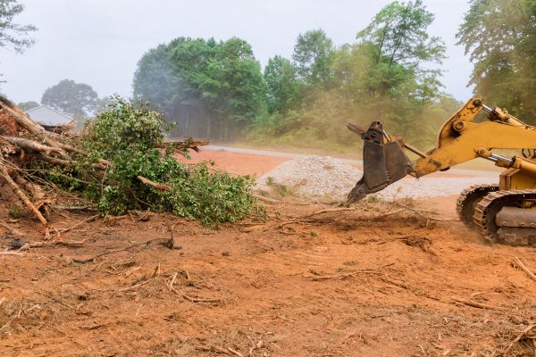 Ground Clearing in Sebring