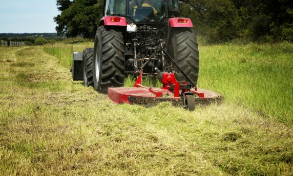 Brush Clearing Service in Sebring