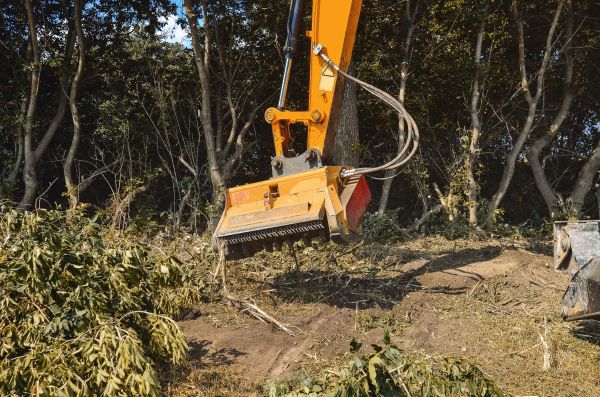 Brush Removal Service in Sebring