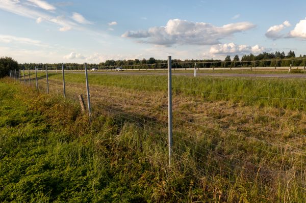 Cost of Property Line Clearing in Sebring