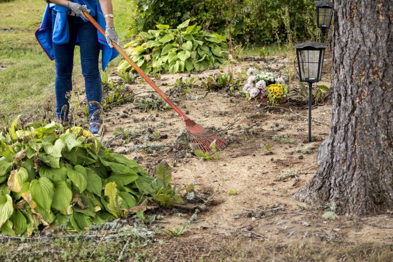 Expert Land Clearing